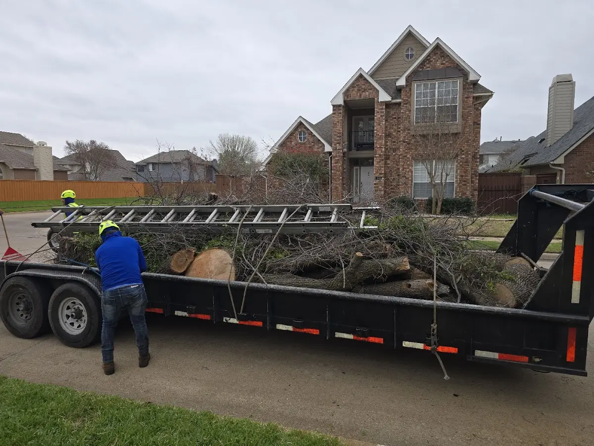 Expert Tree Fertilization with proper safety equipment in Ocala